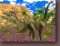 Age of Dinosaurs 