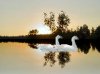 By Water