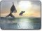 Dolphin 3D 