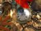 The Lost Watch 3D