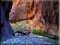 15 Photographs of Zion 