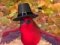3D Woodland Thanksgiving 