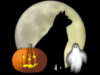 Coolscreams Halloween 