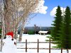 Winter Dreams