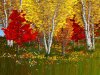 Woodland Dreams